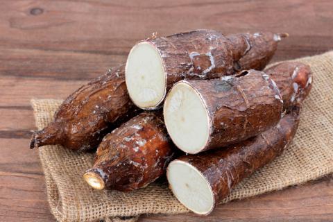 En este momento estás viendo La yuca, un alimento con múltiples propiedades